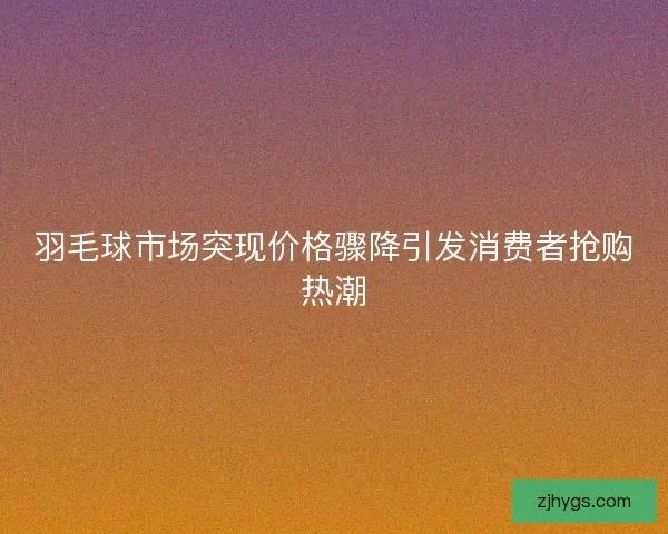 羽毛球市场突现价格骤降引发消费者抢购热潮